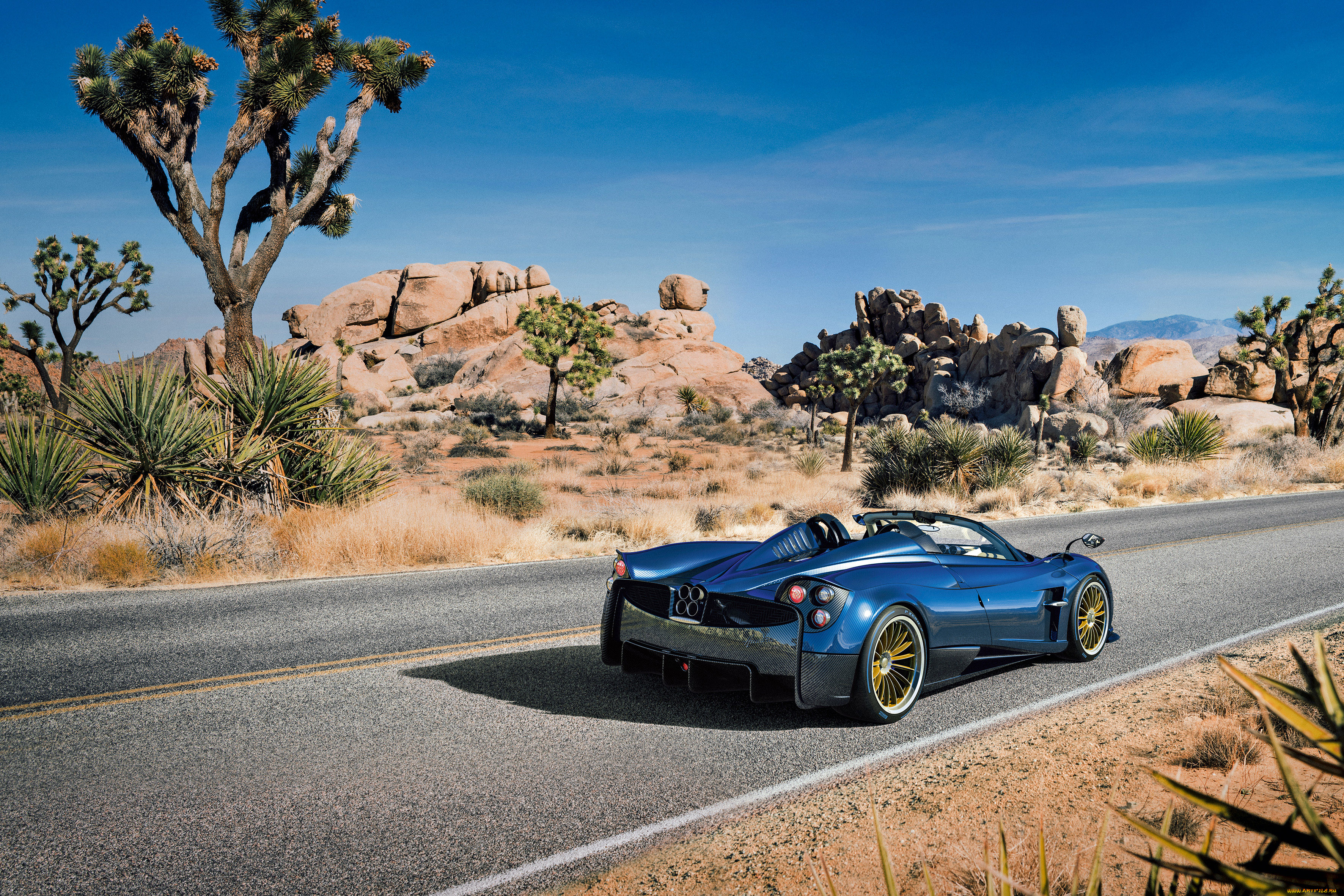 , pagani